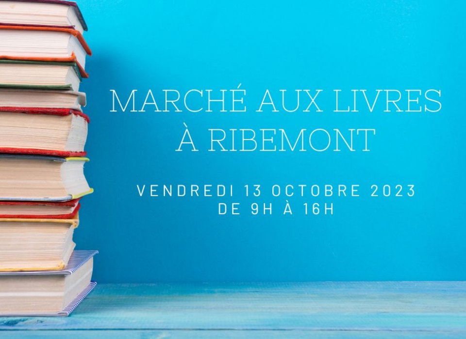 Marché aux livres à Ribemont